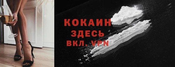 мдпв Магас