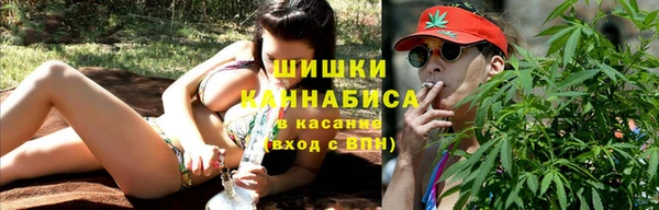 мдпв Магас