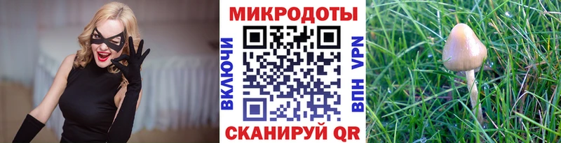 Купить  Суоярви  Псилоцибиновые грибы Psilocybine cubensis 